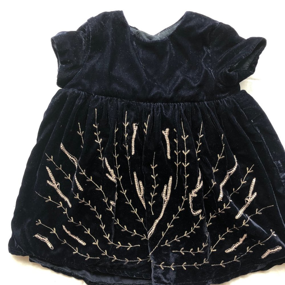 Zara Velvet Dress
